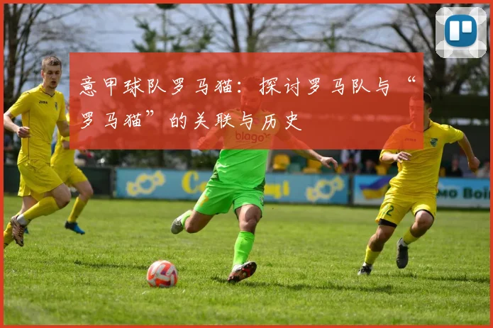 意甲球队罗马猫：探讨罗马队与“罗马猫”的关联与历史