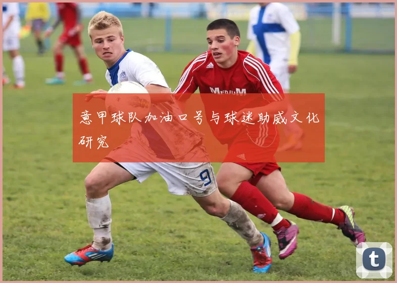 意甲球队加油口号与球迷助威文化研究